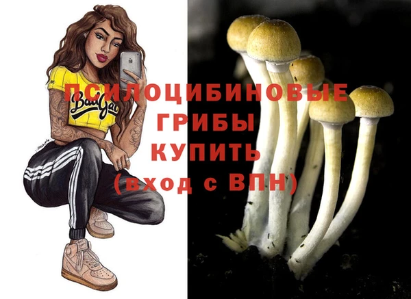 молекула духа Алексеевка